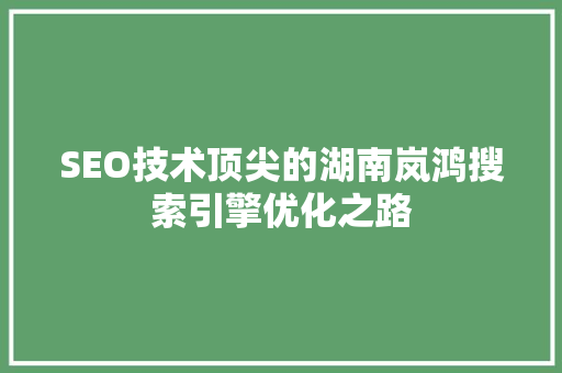 SEO技术顶尖的湖南岚鸿搜索引擎优化之路