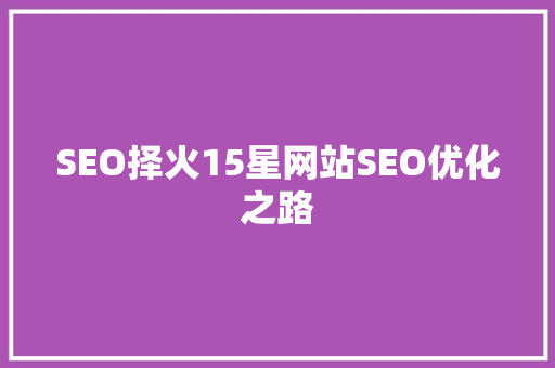 SEO择火15星网站SEO优化之路