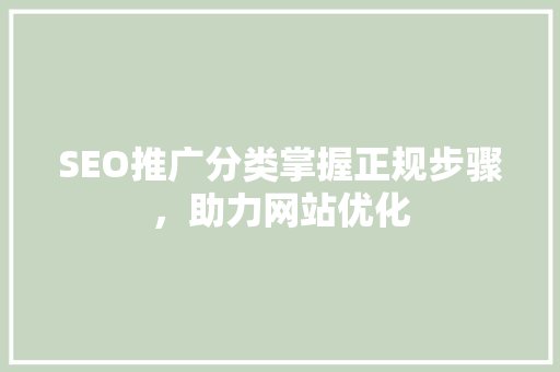 SEO推广分类掌握正规步骤，助力网站优化