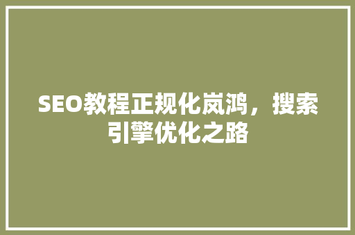 SEO教程正规化岚鸿，搜索引擎优化之路