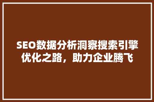 SEO数据分析洞察搜索引擎优化之路，助力企业腾飞