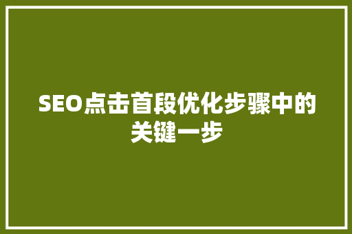 SEO点击首段优化步骤中的关键一步