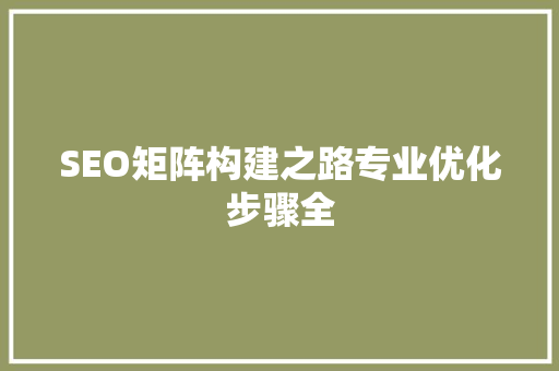 SEO矩阵构建之路专业优化步骤全
