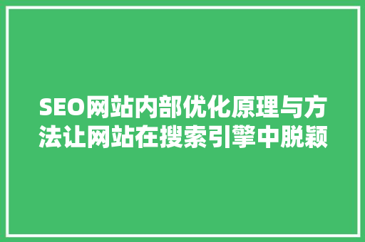 SEO网站内部优化原理与方法让网站在搜索引擎中脱颖而出