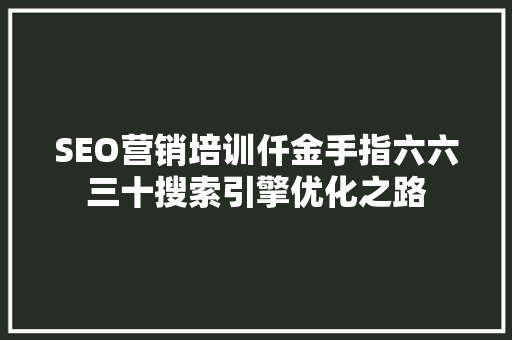 SEO营销培训仟金手指六六三十搜索引擎优化之路