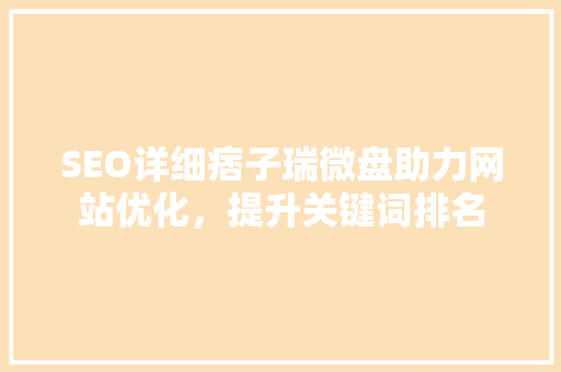 SEO详细痞子瑞微盘助力网站优化，提升关键词排名