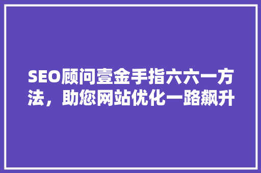 SEO顾问壹金手指六六一方法，助您网站优化一路飙升
