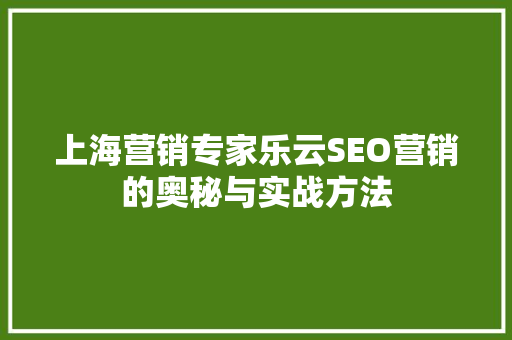 上海营销专家乐云SEO营销的奥秘与实战方法
