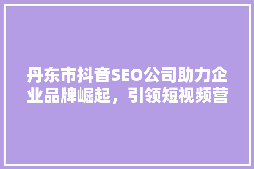 丹东市抖音SEO公司助力企业品牌崛起，引领短视频营销新风尚