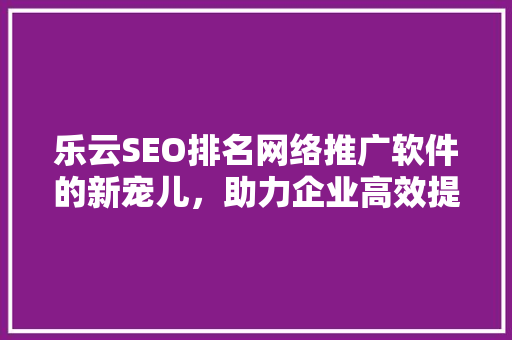 乐云SEO排名网络推广软件的新宠儿，助力企业高效提升网站排名