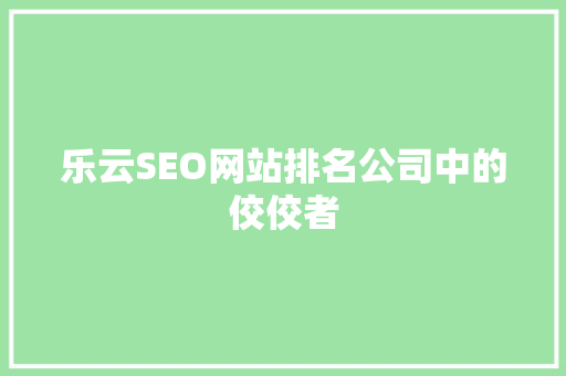 乐云SEO网站排名公司中的佼佼者