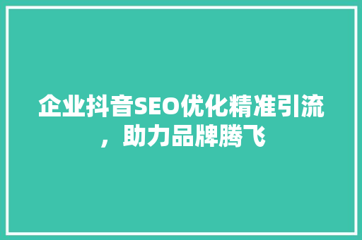 企业抖音SEO优化精准引流，助力品牌腾飞