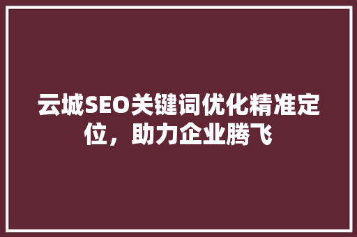 云城SEO关键词优化精准定位，助力企业腾飞