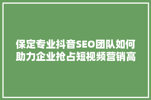 保定专业抖音SEO团队如何助力企业抢占短视频营销高地