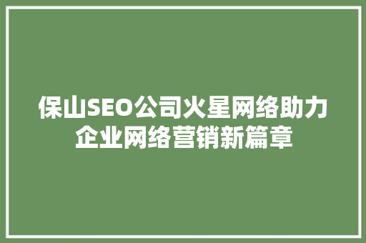 保山SEO公司火星网络助力企业网络营销新篇章
