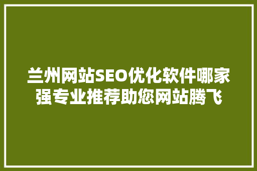 兰州网站SEO优化软件哪家强专业推荐助您网站腾飞
