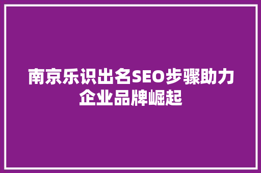 南京乐识出名SEO步骤助力企业品牌崛起