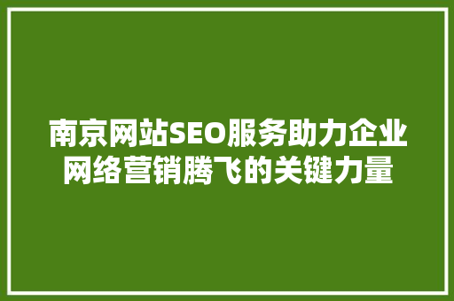 南京网站SEO服务助力企业网络营销腾飞的关键力量