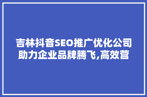 吉林抖音SEO推广优化公司助力企业品牌腾飞,高效营销之路