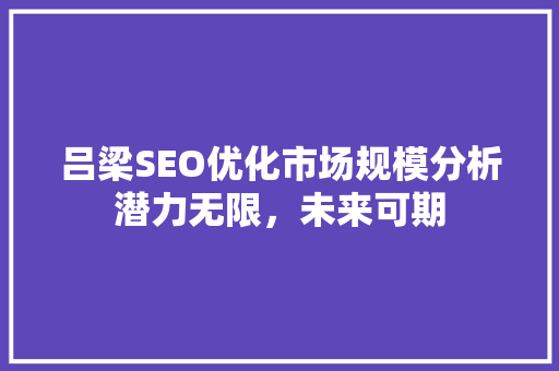 吕梁SEO优化市场规模分析潜力无限，未来可期