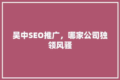 吴中SEO推广，哪家公司独领风骚