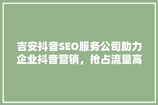 吉安抖音SEO服务公司助力企业抖音营销，抢占流量高地