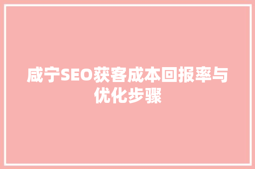 咸宁SEO获客成本回报率与优化步骤