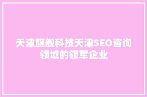 天津旗舰科技天津SEO咨询领域的领军企业
