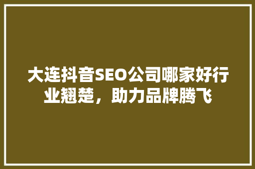 大连抖音SEO公司哪家好行业翘楚，助力品牌腾飞