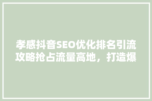 孝感抖音SEO优化排名引流攻略抢占流量高地，打造爆款短视频