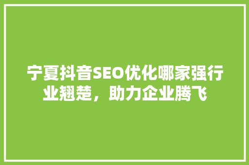 宁夏抖音SEO优化哪家强行业翘楚，助力企业腾飞