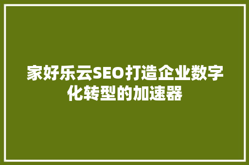 家好乐云SEO打造企业数字化转型的加速器