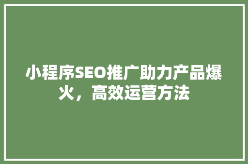 小程序SEO推广助力产品爆火，高效运营方法