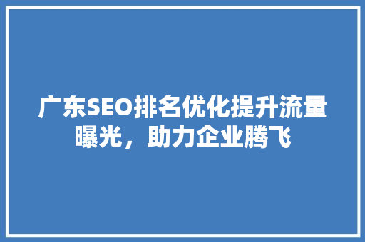 广东SEO排名优化提升流量曝光，助力企业腾飞