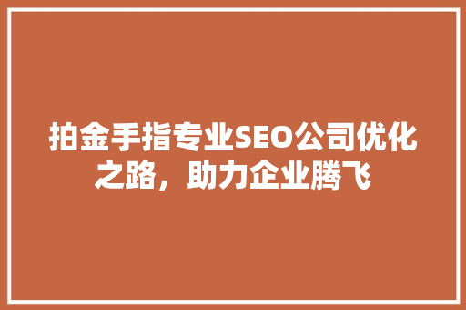 拍金手指专业SEO公司优化之路，助力企业腾飞
