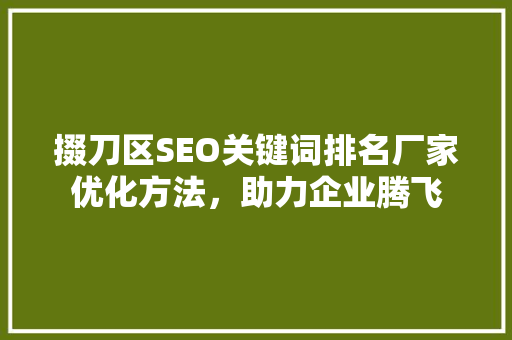 掇刀区SEO关键词排名厂家优化方法，助力企业腾飞