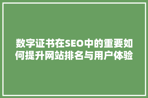 数字证书在SEO中的重要如何提升网站排名与用户体验