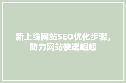 新上线网站SEO优化步骤，助力网站快速崛起