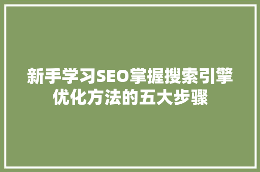 新手学习SEO掌握搜索引擎优化方法的五大步骤