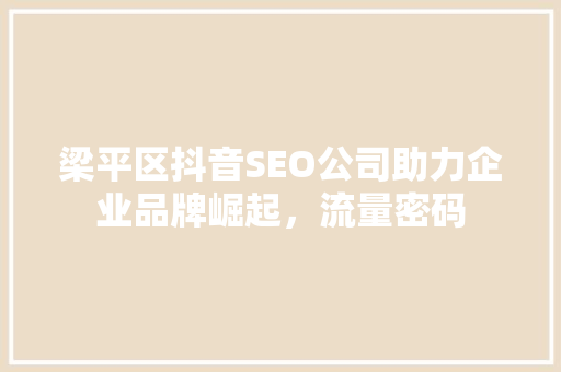 梁平区抖音SEO公司助力企业品牌崛起，流量密码