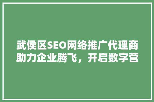 武侯区SEO网络推广代理商助力企业腾飞，开启数字营销新时代