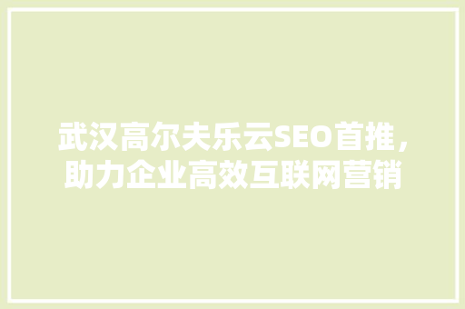 武汉高尔夫乐云SEO首推，助力企业高效互联网营销