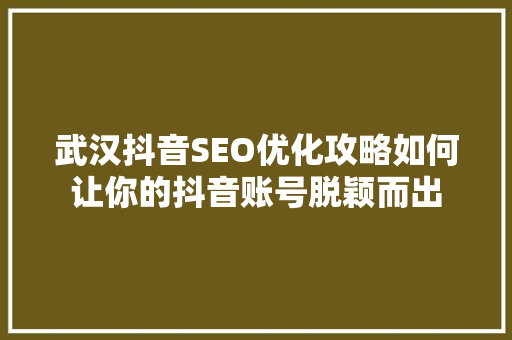 武汉抖音SEO优化攻略如何让你的抖音账号脱颖而出