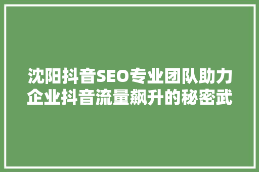 沈阳抖音SEO专业团队助力企业抖音流量飙升的秘密武器