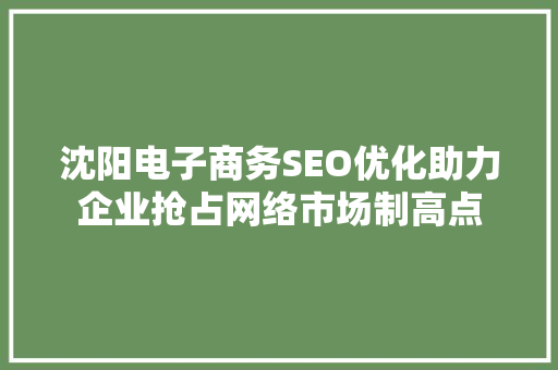 沈阳电子商务SEO优化助力企业抢占网络市场制高点