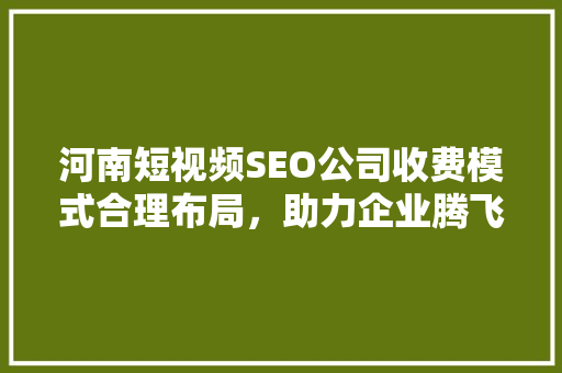 河南短视频SEO公司收费模式合理布局，助力企业腾飞