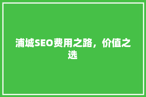 浦城SEO费用之路，价值之选