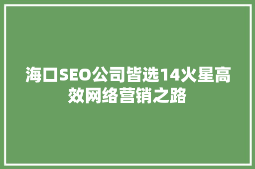 海口SEO公司皆选14火星高效网络营销之路