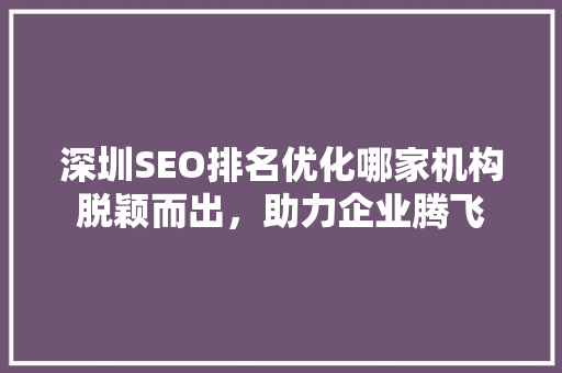 深圳SEO排名优化哪家机构脱颖而出，助力企业腾飞