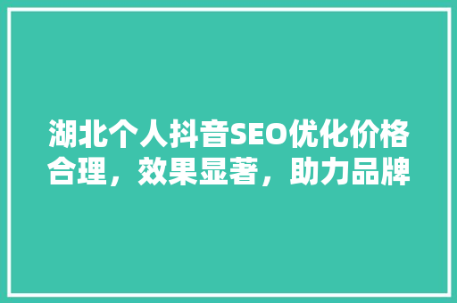 湖北个人抖音SEO优化价格合理，效果显著，助力品牌腾飞